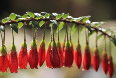 惠州龙门9私人快速借钱网，轻松解决资金难题