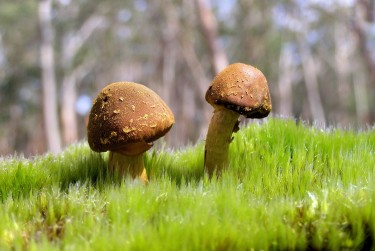 惠州龙门9私人老板放款：轻松融资的秘密通道